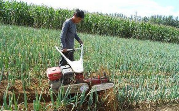 點擊查看詳細信息<br>標題：成功案例 閱讀次數：3417