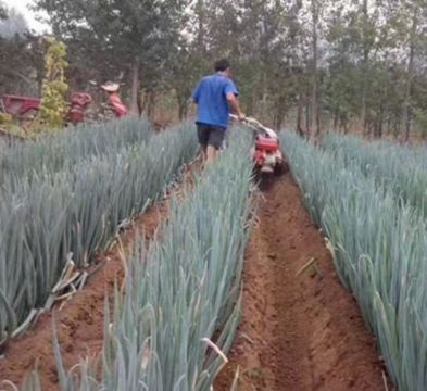 點擊查看詳細信息<br>標題：開溝機　 閱讀次數：2381