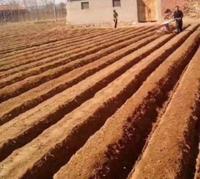 點擊查看詳細信息<br>標題：開溝機　 閱讀次數：2490